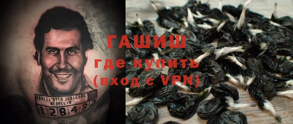 дмт Алзамай