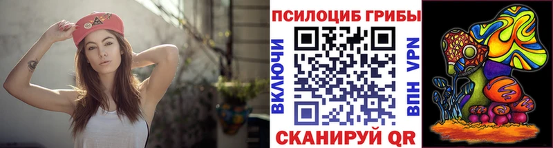 Псилоцибиновые грибы MAGIC MUSHROOMS  даркнет как зайти  Аткарск  где продают наркотики 